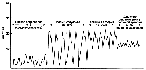 s_g_cat4.gif (19250 bytes)